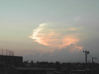 100826_1816~02.jpg