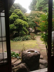PA240356.jpg