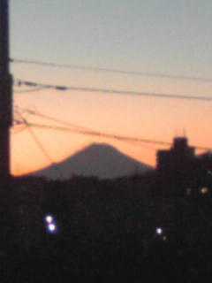 101231_1707~02.jpg