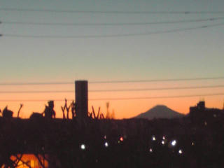 101231_1711~02.jpg