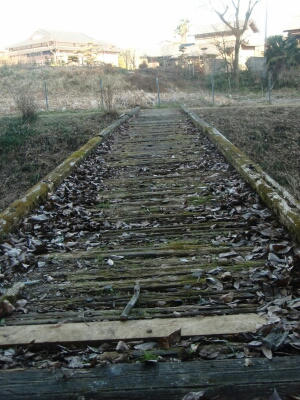 P1020235.jpg