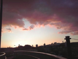 111124_1624~01.jpg
