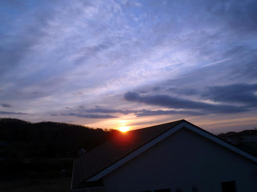 P1010095.jpg