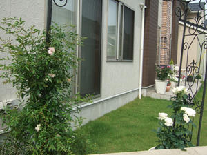 16f70b22.JPG