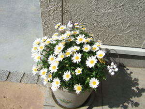 blog122601.JPG