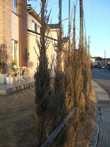 blog09020801.JPG