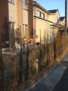 blog09020802.JPG
