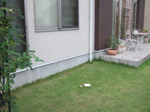 blog001.JPG