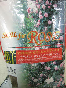 blog009.JPG