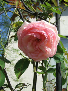 20091001buro6.JPG