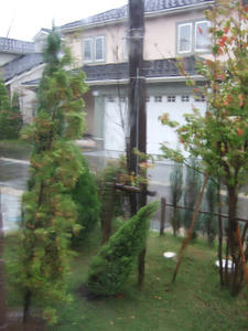 20091008burogu2.JPG