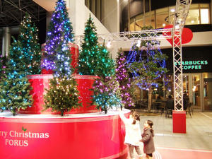 blog1103003.JPG