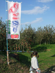 1118blog006.JPG
