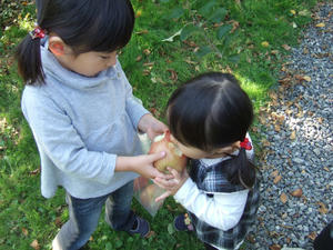 1118blog010.JPG