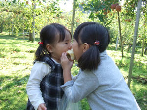 1118blog011.JPG
