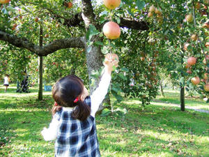1118blog015.JPG