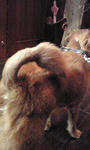 4ab90d52.jpg