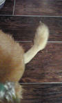 845e1b64.jpg