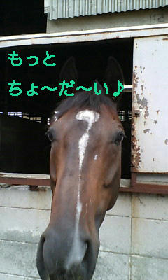 おねだり
