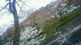 201003311327000.jpg