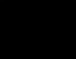 103.JPG
