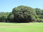 18cc7d30.JPG