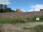 01674b64.JPG