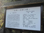6e7741b4.JPG