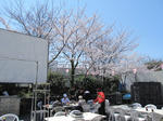 15b90700.JPG