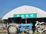 f61aa49f.JPG