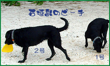 070625_2.jpg