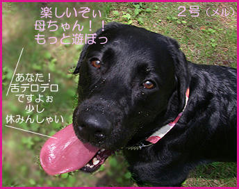 070802_10.jpg