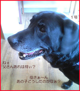 070806_1.jpg