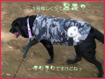 070902_2.jpg