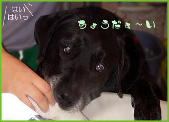 070905_1.jpg