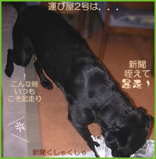 070905_3.jpg