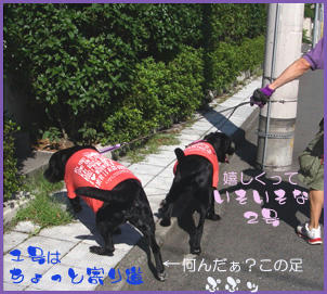 070909_2.jpg