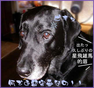 070909_3.jpg