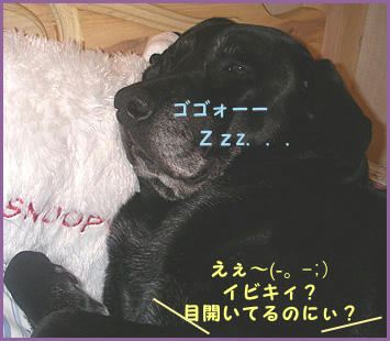 070920_2.jpg