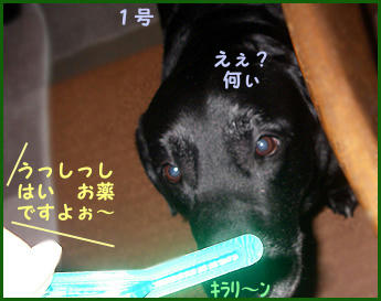 070927_1.jpg