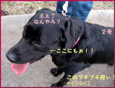 071022_2.jpg