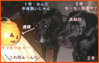 071031_4.jpg