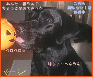 071031_6.jpg