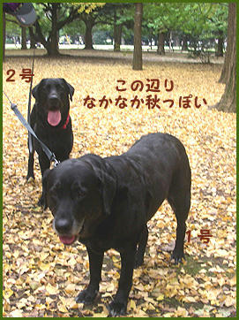 071103_1.jpg