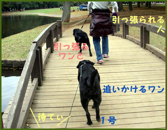 071103_3.jpg