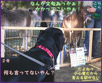071104_3.jpg