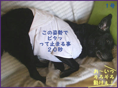 071104_5.jpg
