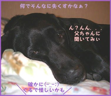 071107_3.jpg
