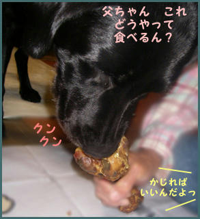 0711012_4.jpg