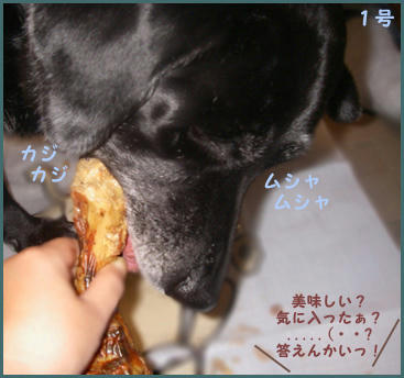 0711012_5.jpg